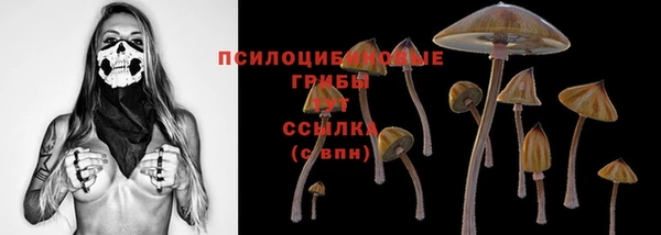 jwh Аркадак