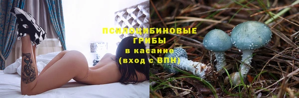 jwh Аркадак